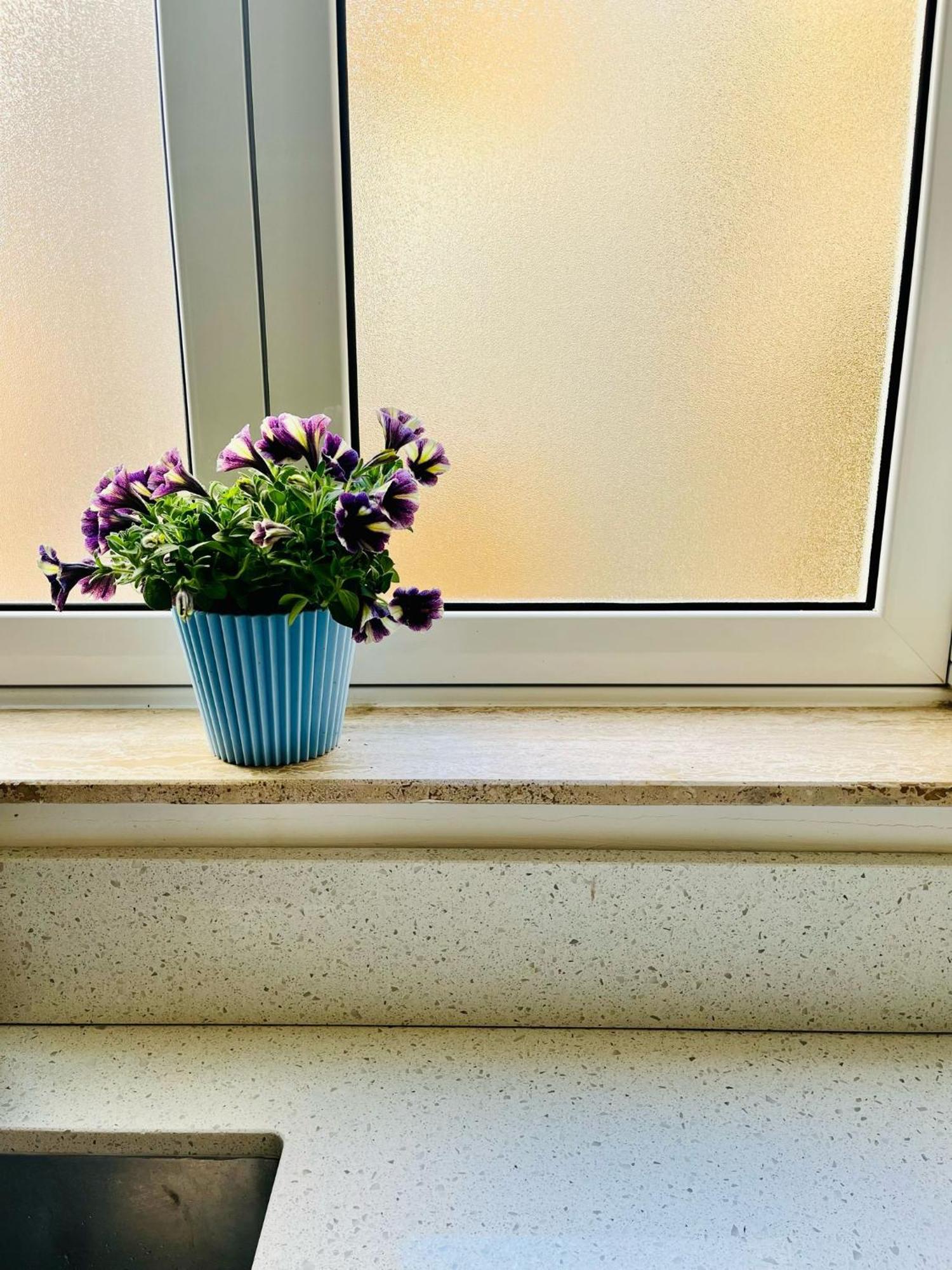 Cozy Charming Apartment In Old Bakery Street バレッタ エクステリア 写真